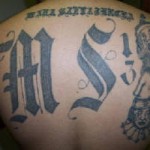 ms131