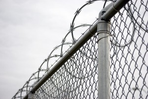 Razor wire fence