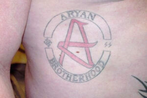 vice aryan