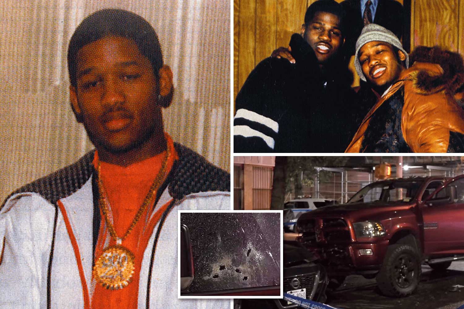 The Gangster Alpo - GORILLA CONVICT - Seth Ferranti